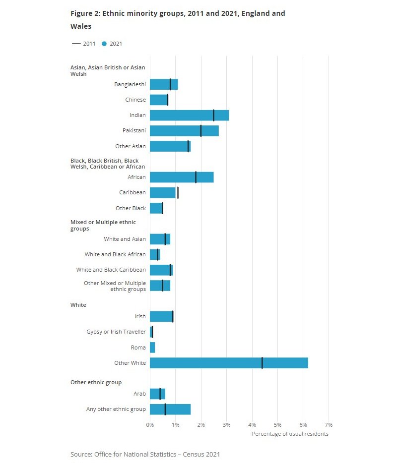 Census 2021 Data Reveals Ethnic Make Up Of UK Population Diversity UK